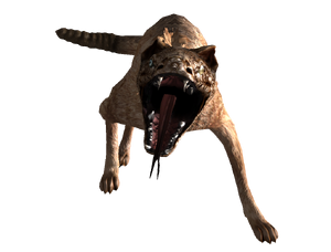 FNV Croc Attaque.png