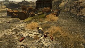 FNV Decharge toxique habitant mort.jpg