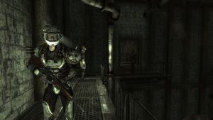 FNV Enseignez au neon de Zapp Duke.jpg
