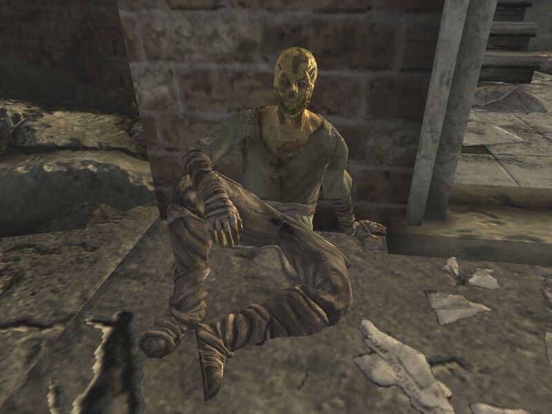Fichier:FNV Face de lèpre.jpg