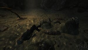 FNV Fourmiliere habitant mort.jpg