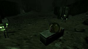 FNV Grotte provisions cachée ticket lotterie.jpg