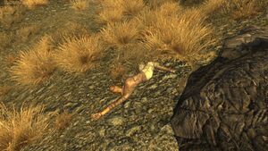 FNV HELIOS One habitant mort.jpg