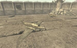 FNV Jet plane 4.jpg