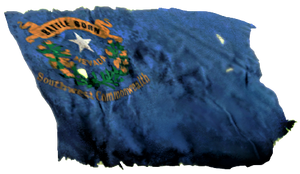 FNV Nevada drapeau.png