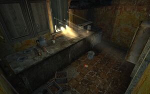 FNV Nipton maison 3 cuisine.jpg