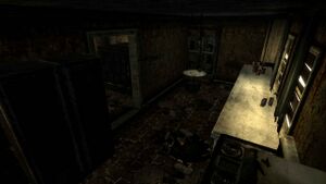 FNV Nipton maison 4 cuisine.jpg