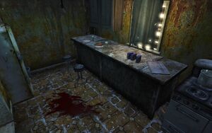 FNV Nipton maison 5 cuisine.jpg