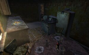 FNV Nipton maison 6 cuisine.jpg