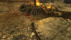 FNV Nipton ticket lotterie6.jpg