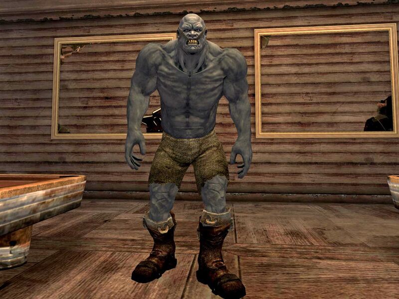 Fichier:FNV Nocturne Jacobstown.jpg