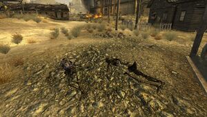 FNV Owen et Beru.jpg