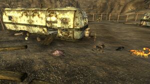 FNV Parc caravannes Good Luck combats.jpg