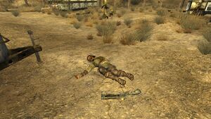 FNV Parc caravannes Good Luck habitant mort.jpg
