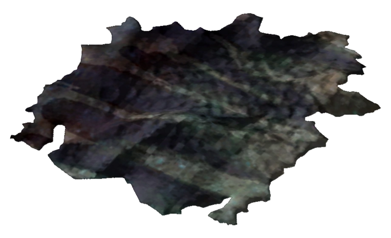 Fichier:FNV Peau de Gecko tannée.png