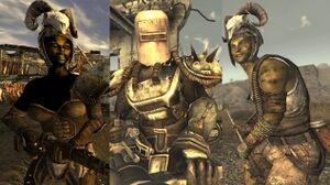 FNV Prime de trois cartes.jpg