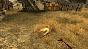 FNV Ranch Brooks habitant mort.jpg