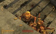 Dans Fallout: New Vegas