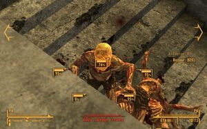 FNV SVAV.jpg