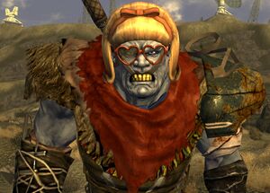 FNV Tabitha.jpg