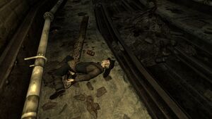 FNV Tunnel train habitant mort.jpg