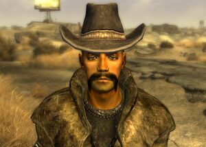FNV Vagabond solitaire.jpg
