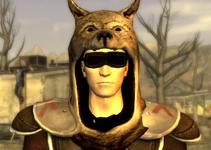 FNV Vulpes Inculta.jpg
