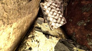 FNV emplacement Journal d'Ulysses Y-17.17.jpg