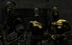 FNV groupe Tox.jpg