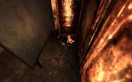 Squelette d'enfant dans les toilettes