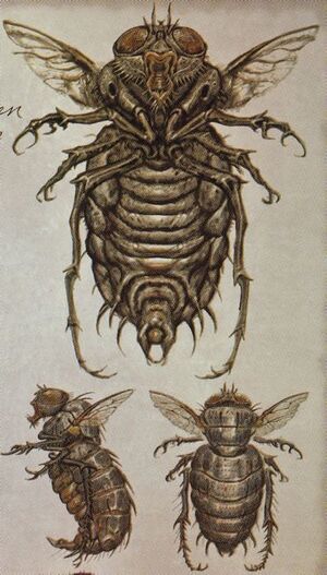 FO3 Concept art Mouche bouffie.jpg