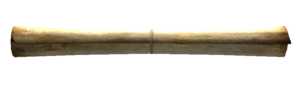 FO3 Déclaration des Droits.png