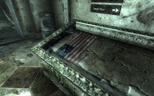 FO3 Drapeau Valiant 12.jpg