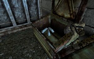 FO3 Ingottem 1.jpg