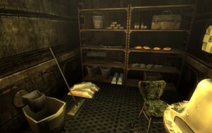 FO3 Ingottem 11.jpg