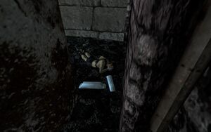 FO3 Ingottem 2 13.jpg
