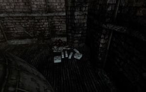 FO3 Ingottem 2 14.jpg