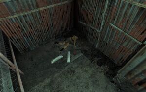 FO3 Ingottem 3 5.jpg