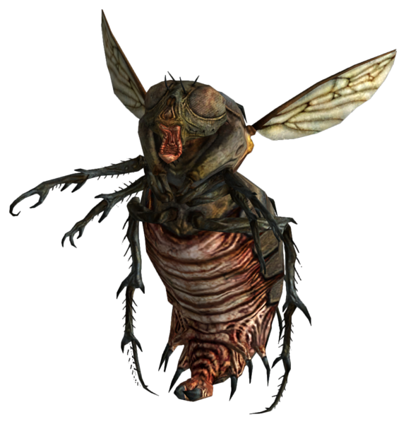 Fichier:FO3 Mouche bouffie.png