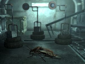 FO3 Radcafard 02.jpg