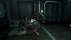 FO3 Radcafard 03.jpg