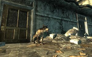 FO3 Temple de l'Union 03.jpg