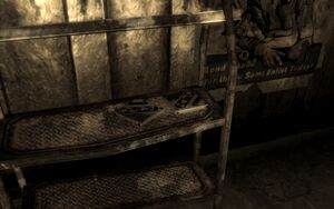 FO3 emplacement Mon journal, par Jason Grant.jpg