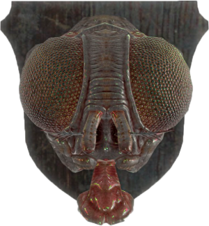 FO4-Mounted-Bloatfly-Head.png