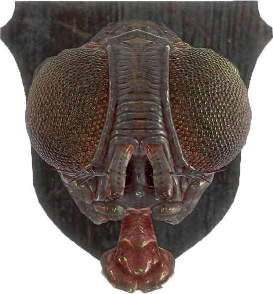 Fichier:FO4-Mounted-Bloatfly-Head.png