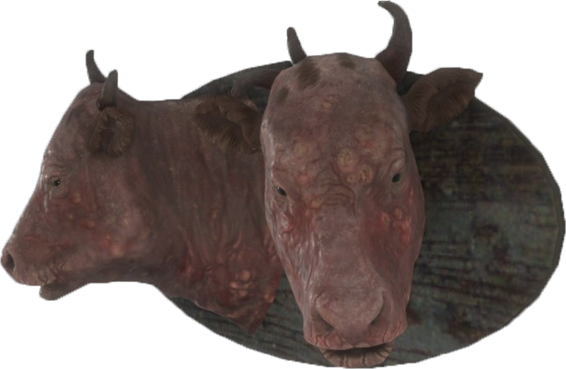 Fichier:FO4-Mounted-Brahmin-Head.png