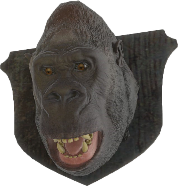 Fichier:FO4-Mounted-Gorilla-Head.png