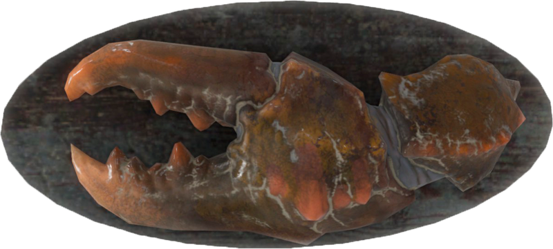 Fichier:FO4-Mounted-Mirelurk-Claw.png