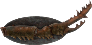 FO4-Mounted-Mirelurk-Queen-Claw.png