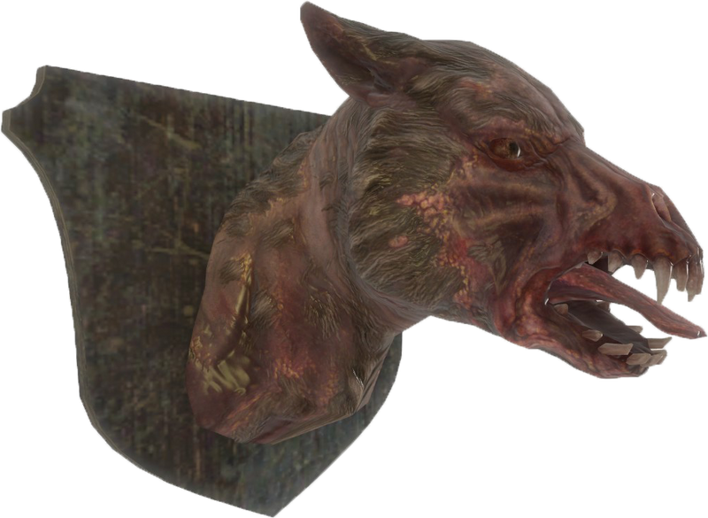 Fichier:FO4-Mounted-Mongrel-Head.png